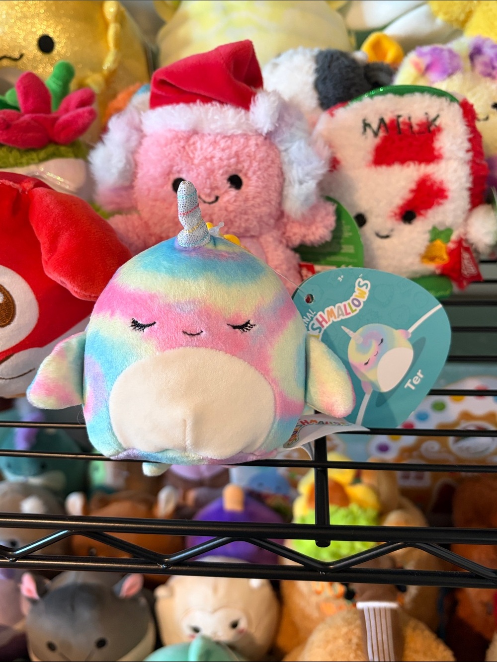 Ter the Narwhal